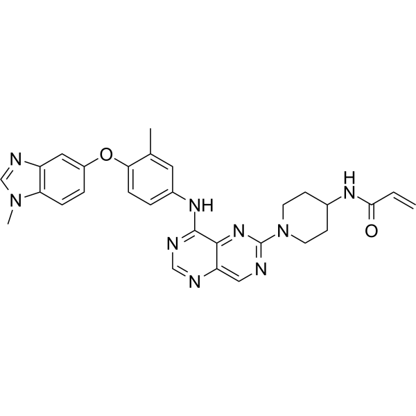 zongertinib
