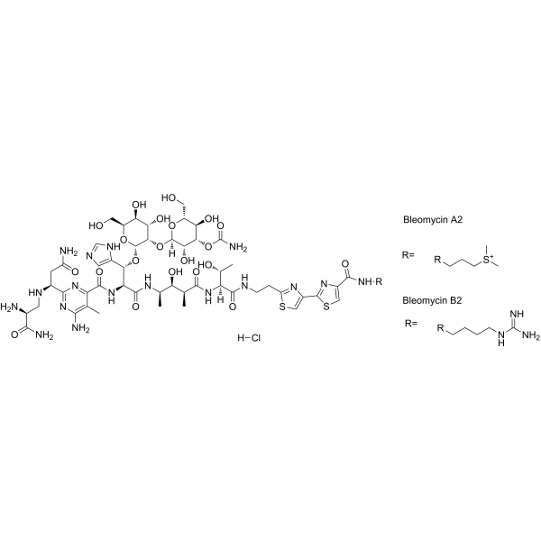 bleomycin